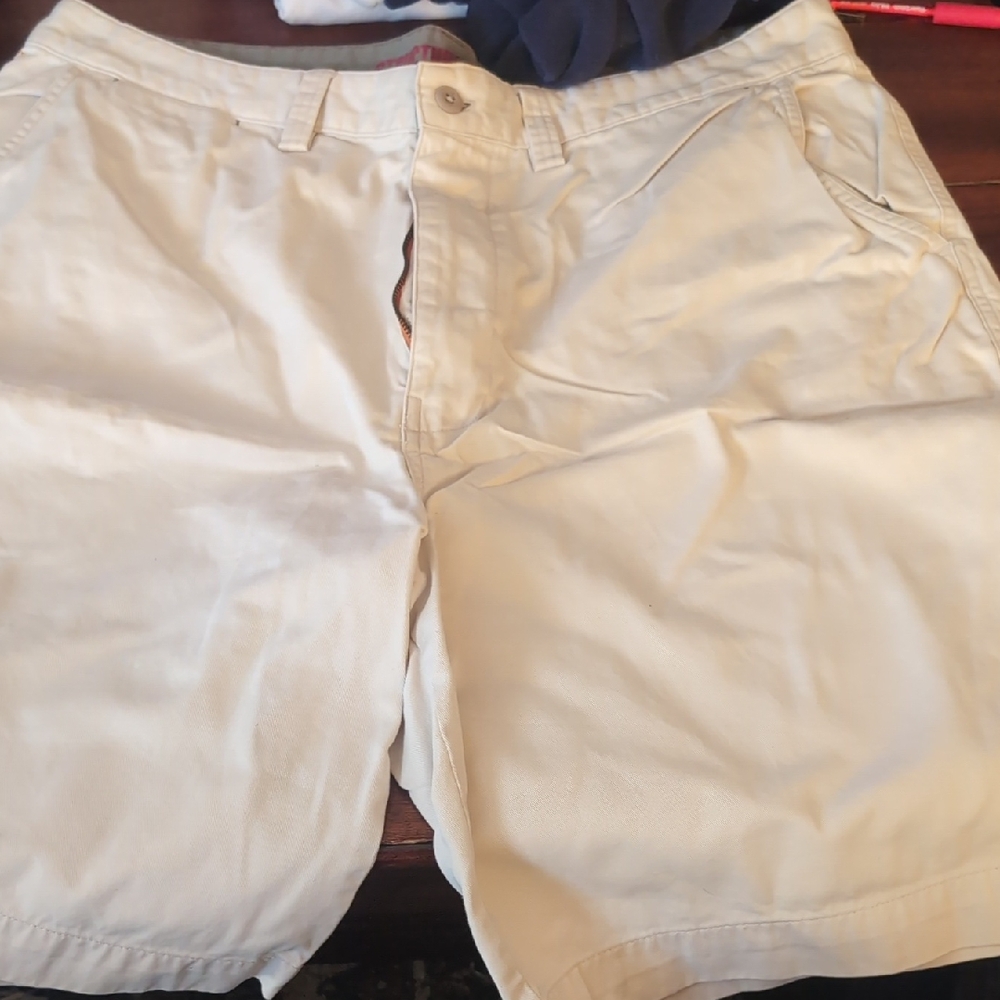 Structure Men's Beige Flat Front Shorts